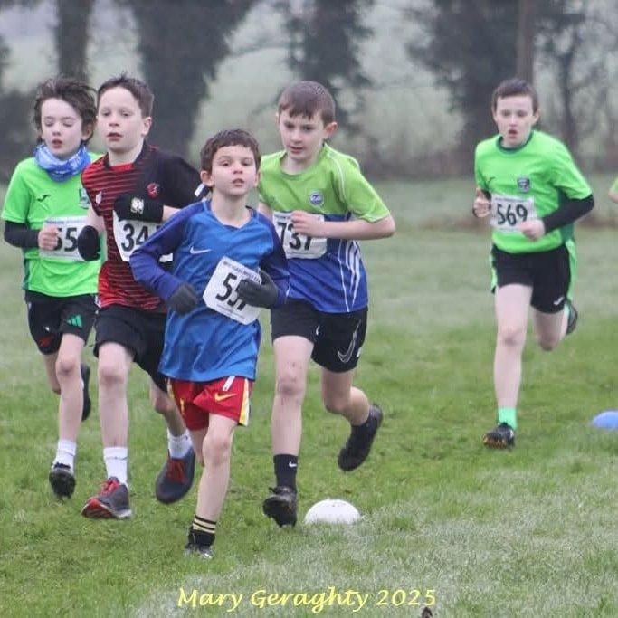 473321446 1116463093604341 951732217239089483 N