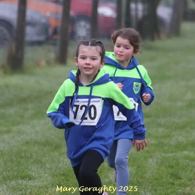 473358591 1116462566937727 154912982669419161 N