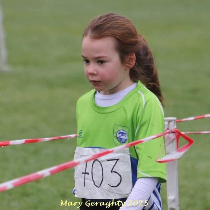 473361072 1116462116937772 1348652462993739768 N