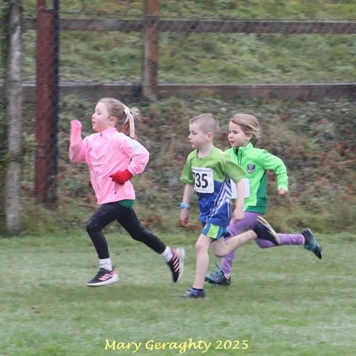 473536655 1116461930271124 2435264566998257366 N