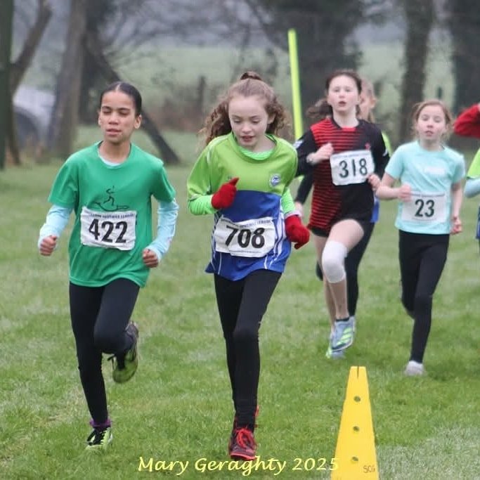 473538520 1116462633604387 7463346101174777509 N