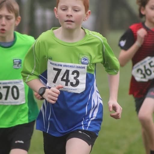 473632431 1116463506937633 8227051307826327398 N