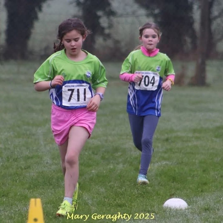 473786321 1116462460271071 8213547400252539989 N