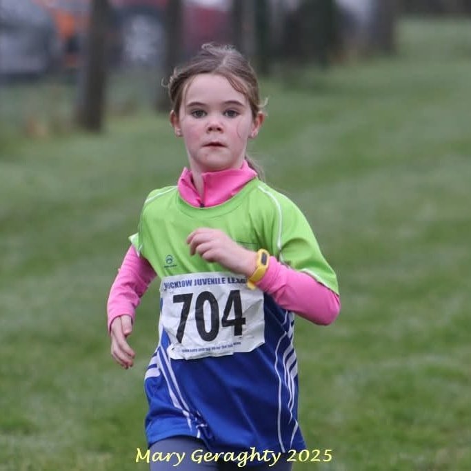 473802360 1116462490271068 503276422681834148 N