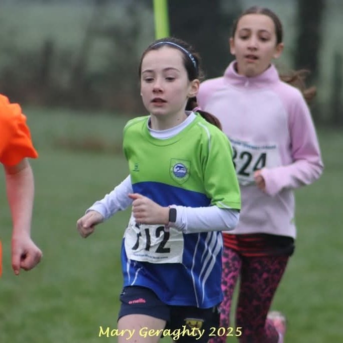 473803165 1116462603604390 3974621035106108039 N