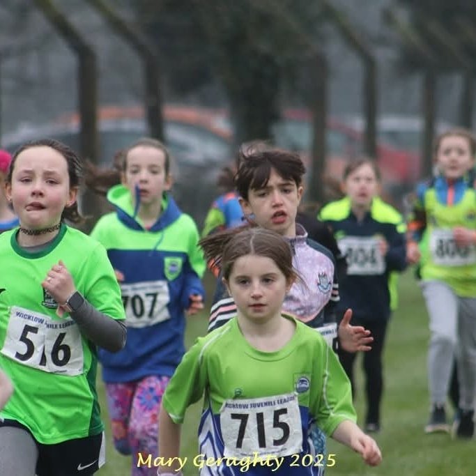 473813714 1116462156937768 3478744080833855269 N