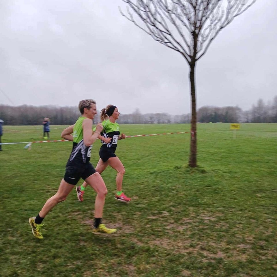 476596832 1132235888693728 5981675325488217113 N