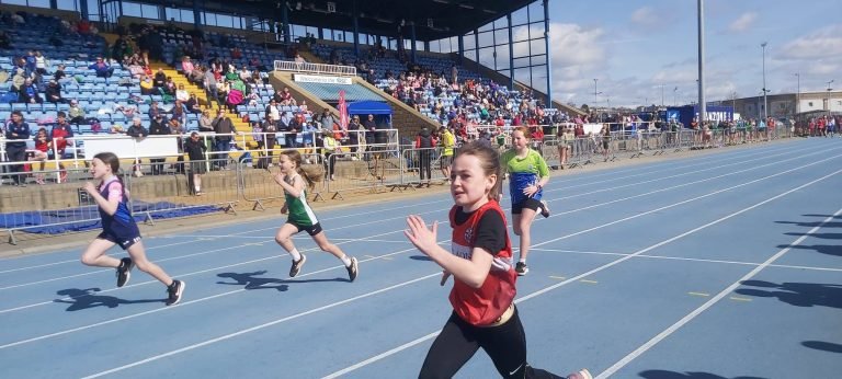 490986271 1185190003398316 281982158757746308 N 768x346