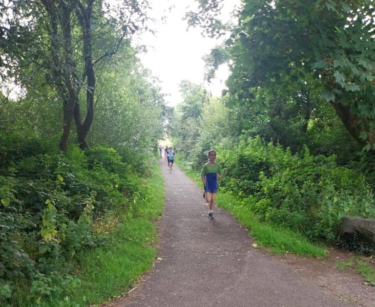 528343739 1270580968192552 491250392735411222 N 768x628