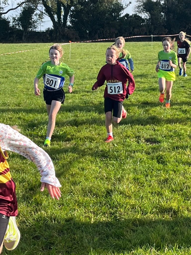 557275390 1320949689822346 1990937683390175244 N 768x1024