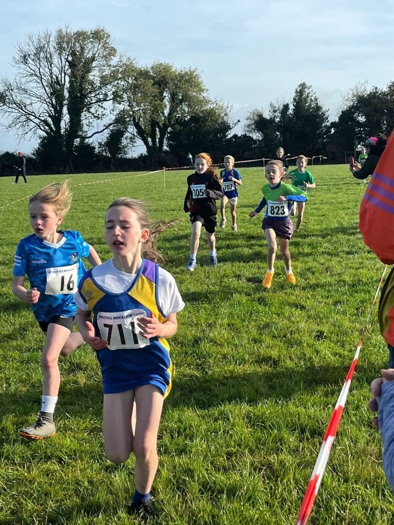 557797911 1320949716489010 8152683392229668224 N 768x1024