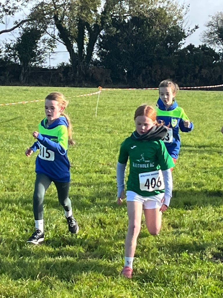 557927441 1320949596489022 4398535837947247141 N 768x1024