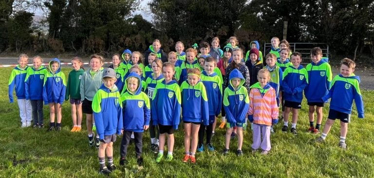 559529916 1320945426489439 111795862542215747 N 768x365