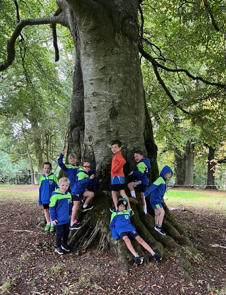 565126790 1329061852344463 2862103279532904119 N 768x1004