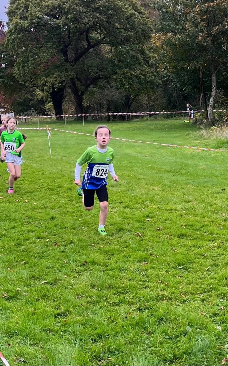 565137032 1329062425677739 4961119164426841229 N 768x1231