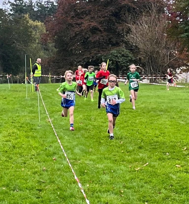 565139285 1329062479011067 3864882000258444470 N 768x832