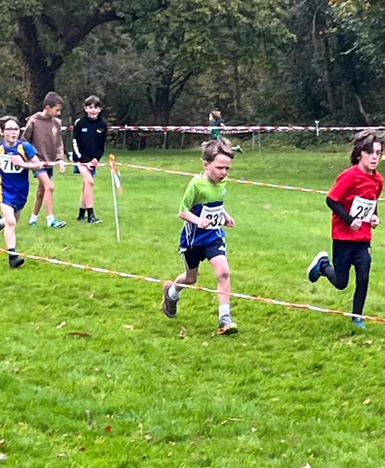 565149887 1329062362344412 3342331250955895526 N 768x932