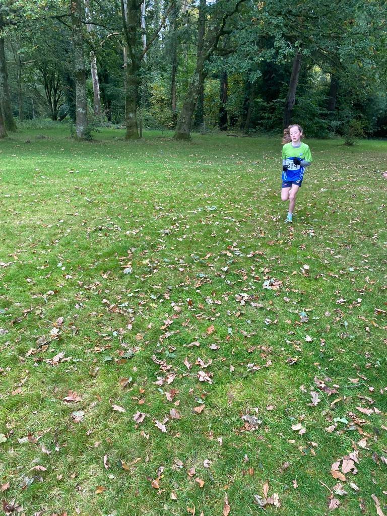 565707628 1329062599011055 8771131715264654022 N