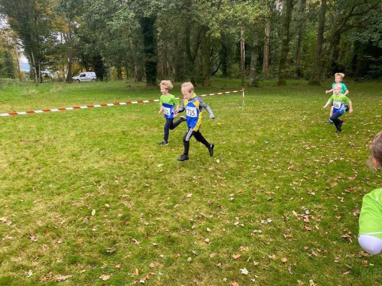 565938659 1329062532344395 3388155478645976372 N 768x576