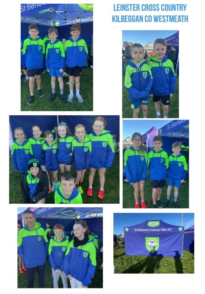 581219811 1351516960098952 420361098283749250 N 714x1024