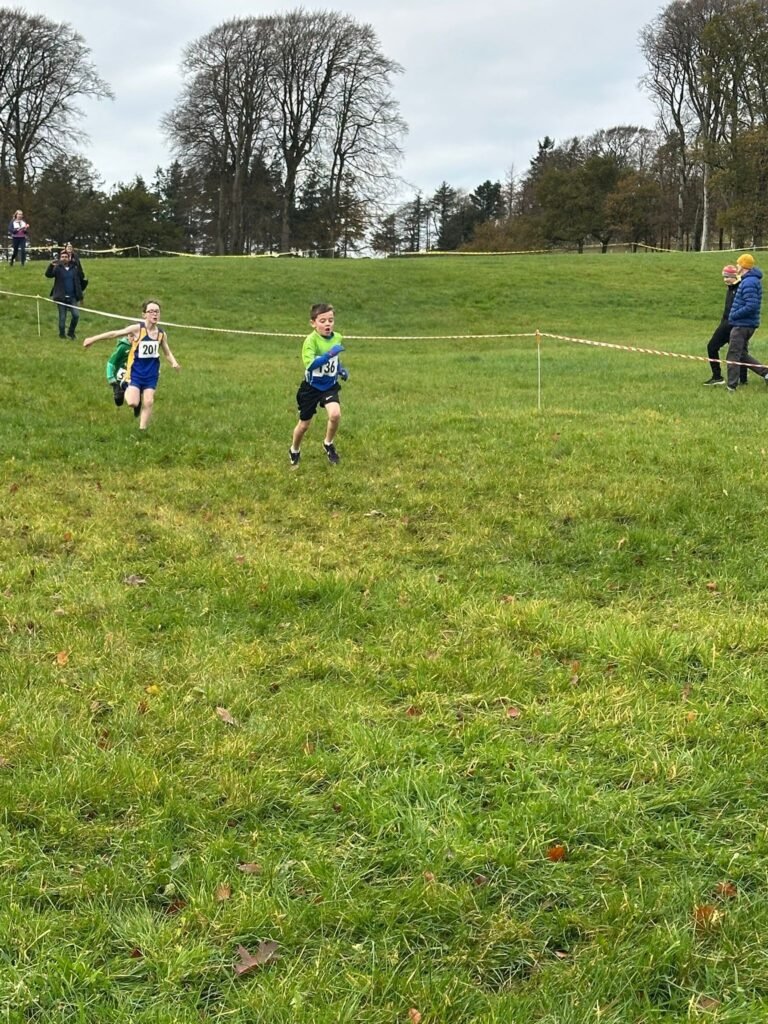 583240115 1358171169433531 9130790344010371383 N 768x1024