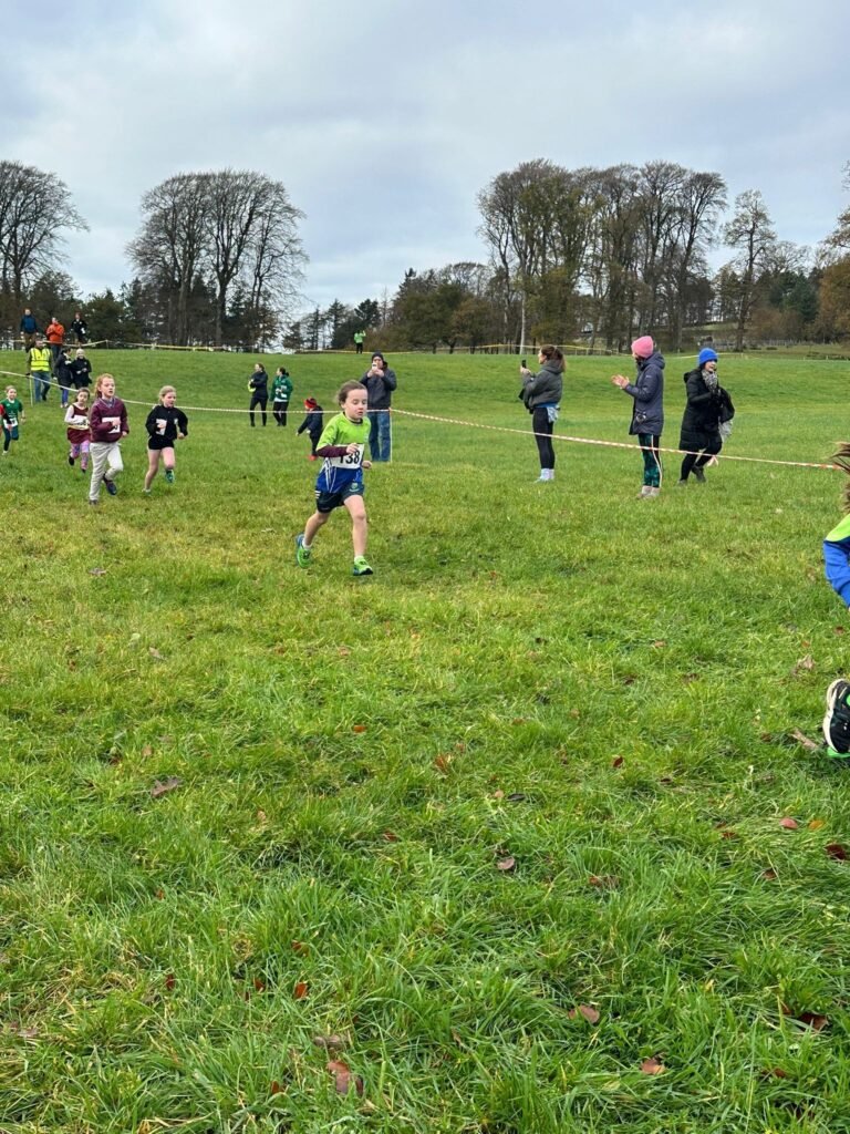 583327595 1358171029433545 483607598094269237 N 768x1024