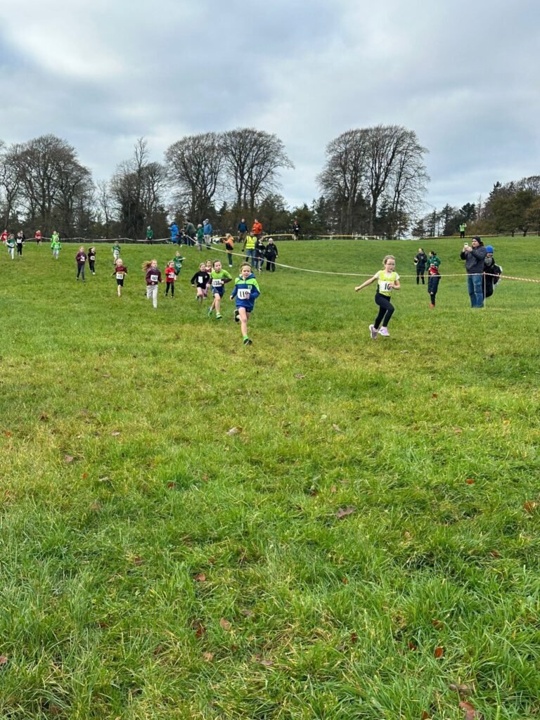 584427434 1358171386100176 3909956741219493668 N 768x1024