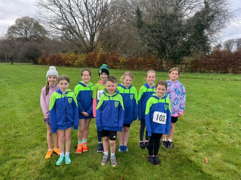 584550561 1358169656100349 5531824305473575382 N 768x576