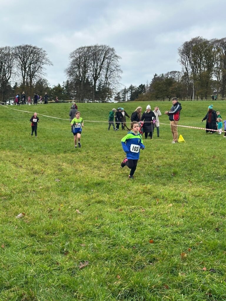 584677175 1358171279433520 1392991882779196610 N 768x1024