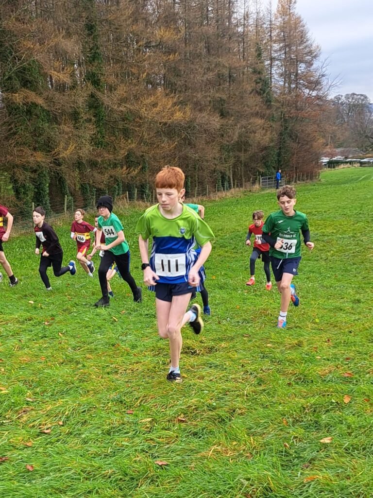 584820275 1358170032766978 9120475105688843722 N 768x1025