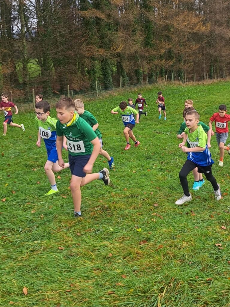 584972549 1358169996100315 1033598635453633966 N 768x1024