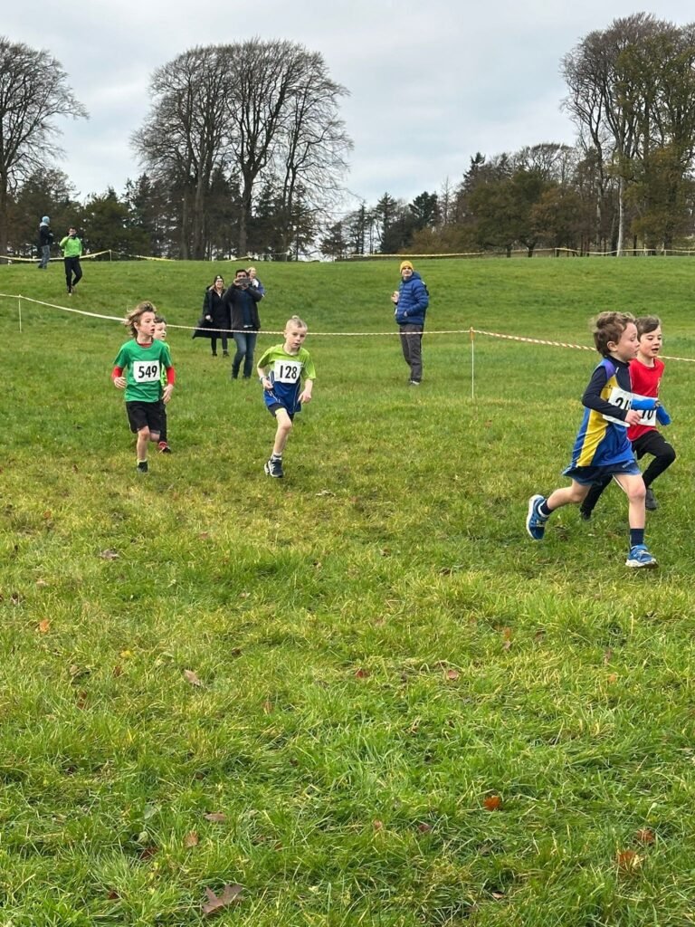 585528078 1358171072766874 4118850508301596091 N 768x1024