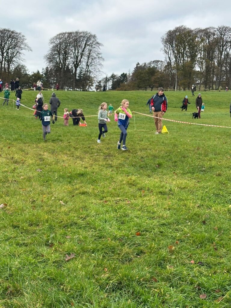 586020301 1358171199433528 3963491000550684651 N 768x1024