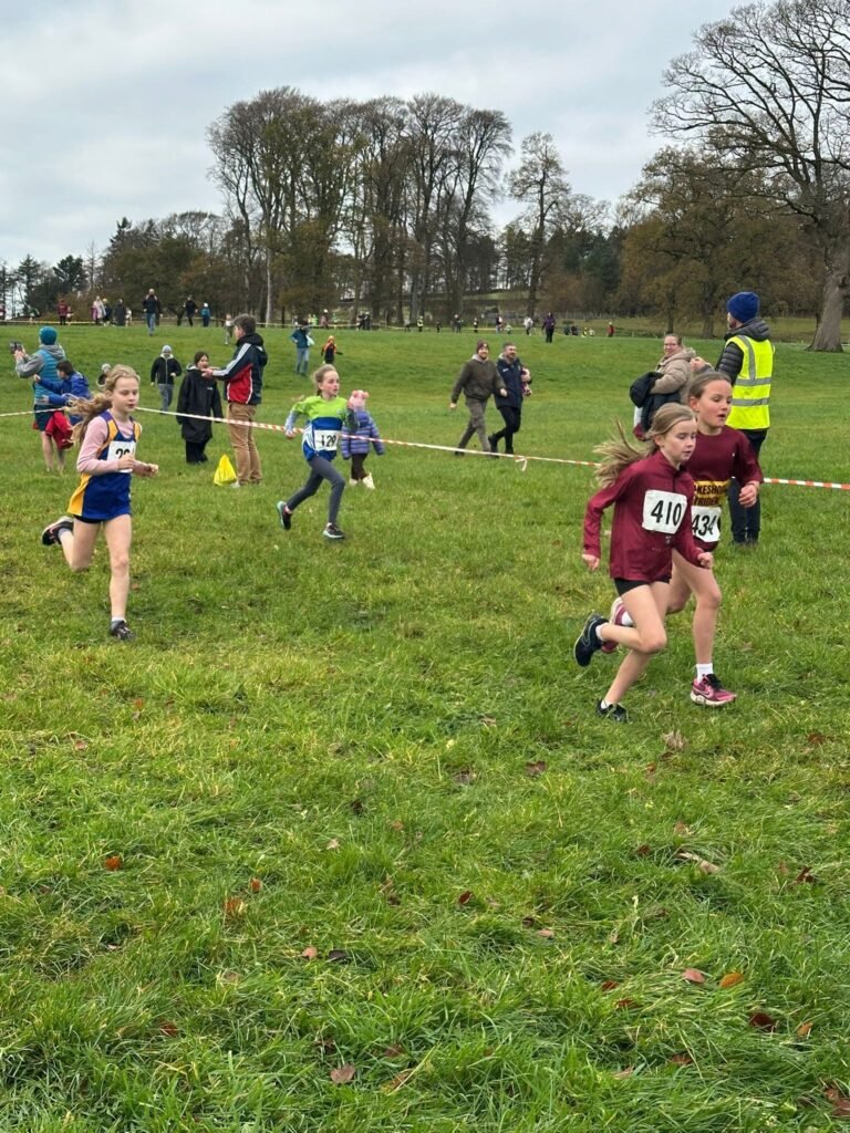 586020489 1358171126100202 6358418458813368085 N 768x1024