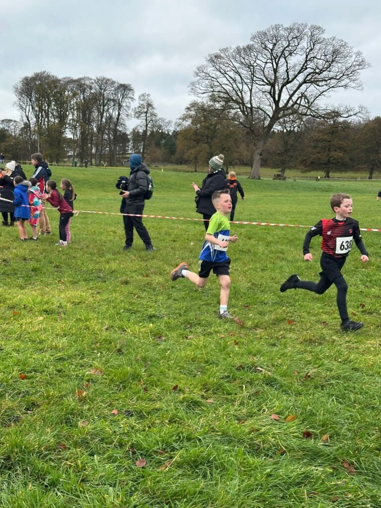 586040702 1358170909433557 5627045553024801417 N 768x1024