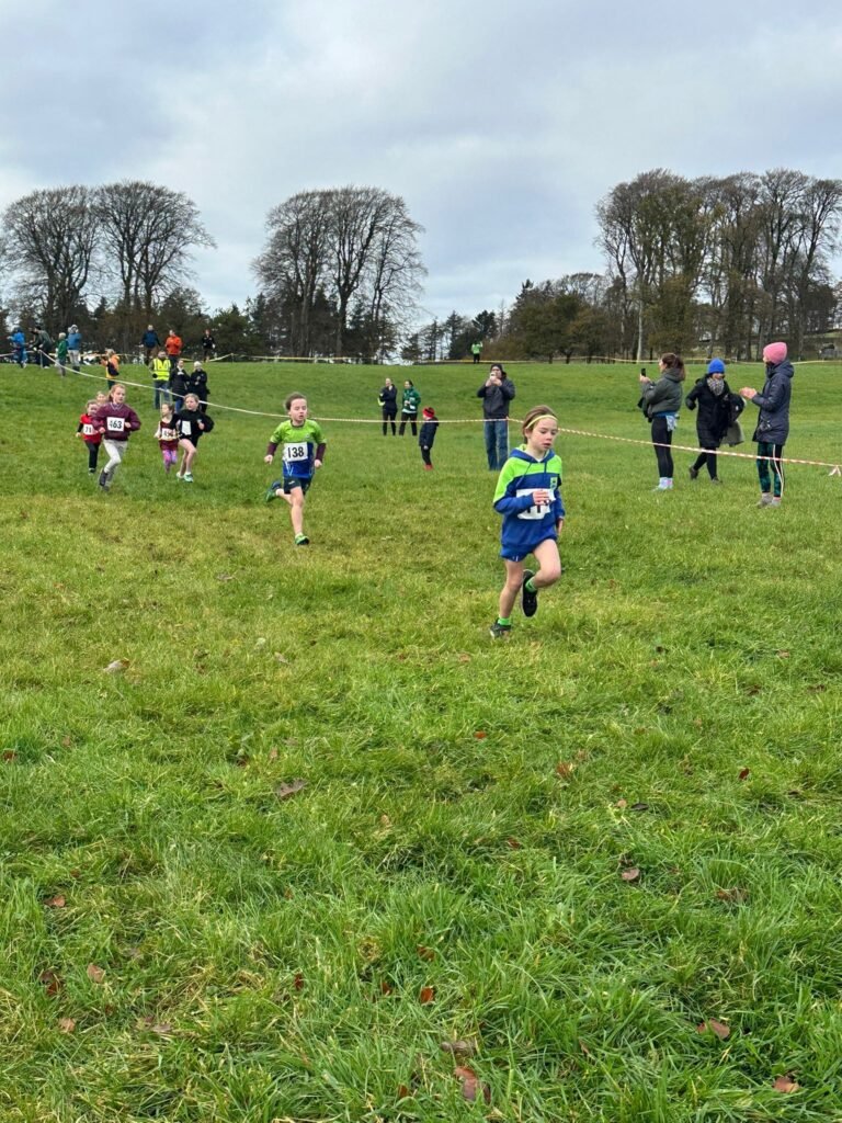 586286439 1358171412766840 1995228155899999041 N 768x1024