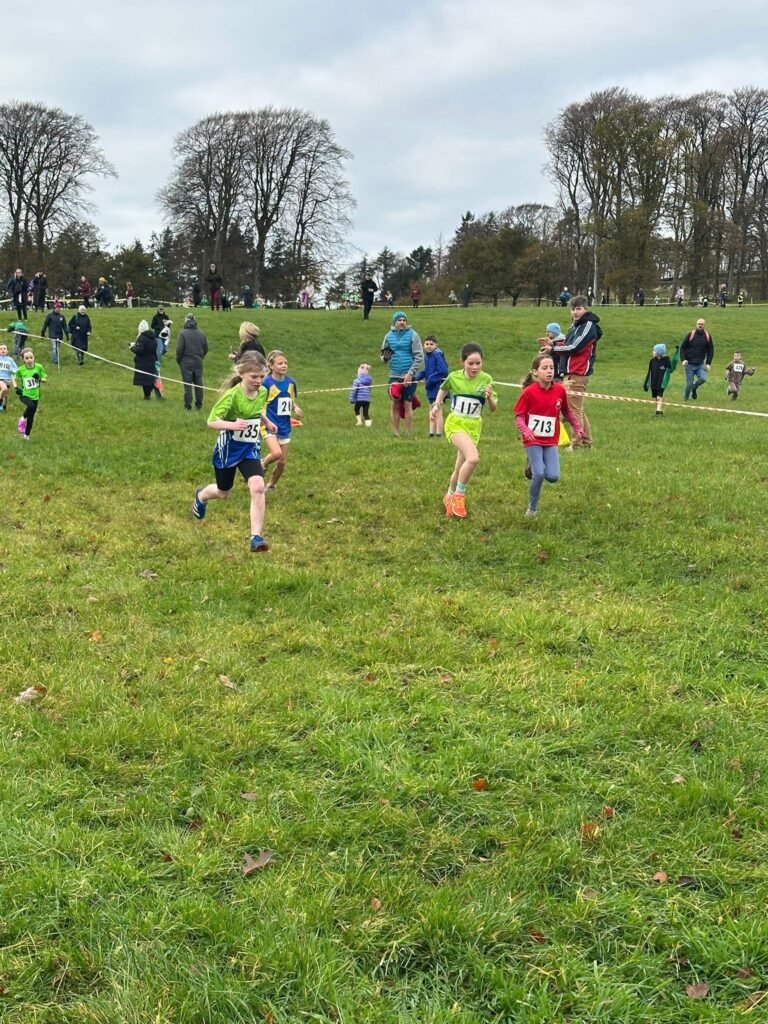 586550968 1358170982766883 276614793787459630 N 768x1024