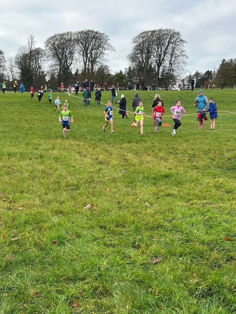 586836410 1358171326100182 294445942509136013 N 768x1024