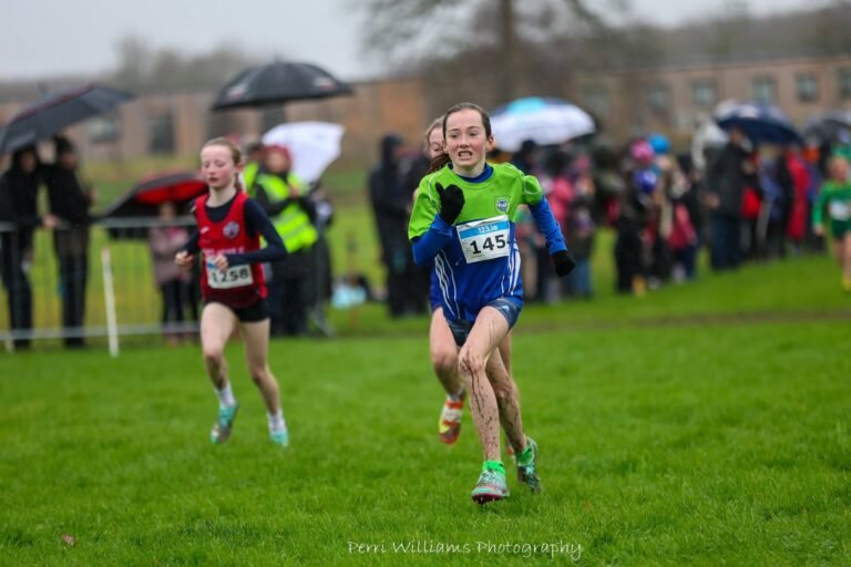 595386396 1374518584465456 4536559518483436297 N 768x512